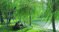 【養(yǎng)生知識】元宵入六九，春季已至，六九天的養(yǎng)生知識你知道多少？