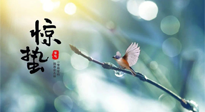 【二十四節(jié)氣灸】驚蟄節(jié)氣，艾灸喚醒抵抗力、補(bǔ)充陽氣的最好時機(jī)！