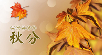 【二十四節(jié)氣灸】秋分節(jié)氣，平衡陰陽，巧用艾灸，潤燥養(yǎng)肺是關(guān)鍵！